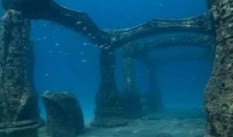 海底王宫爆料视频大全集,视频大全集深度解析