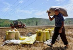 农民种地热点爆料视频,农民种地热点爆料视频揭秘